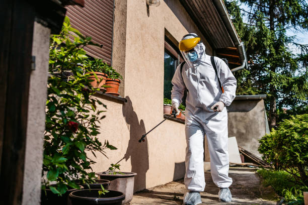 Best Cockroach Control Services  in Warren, MN